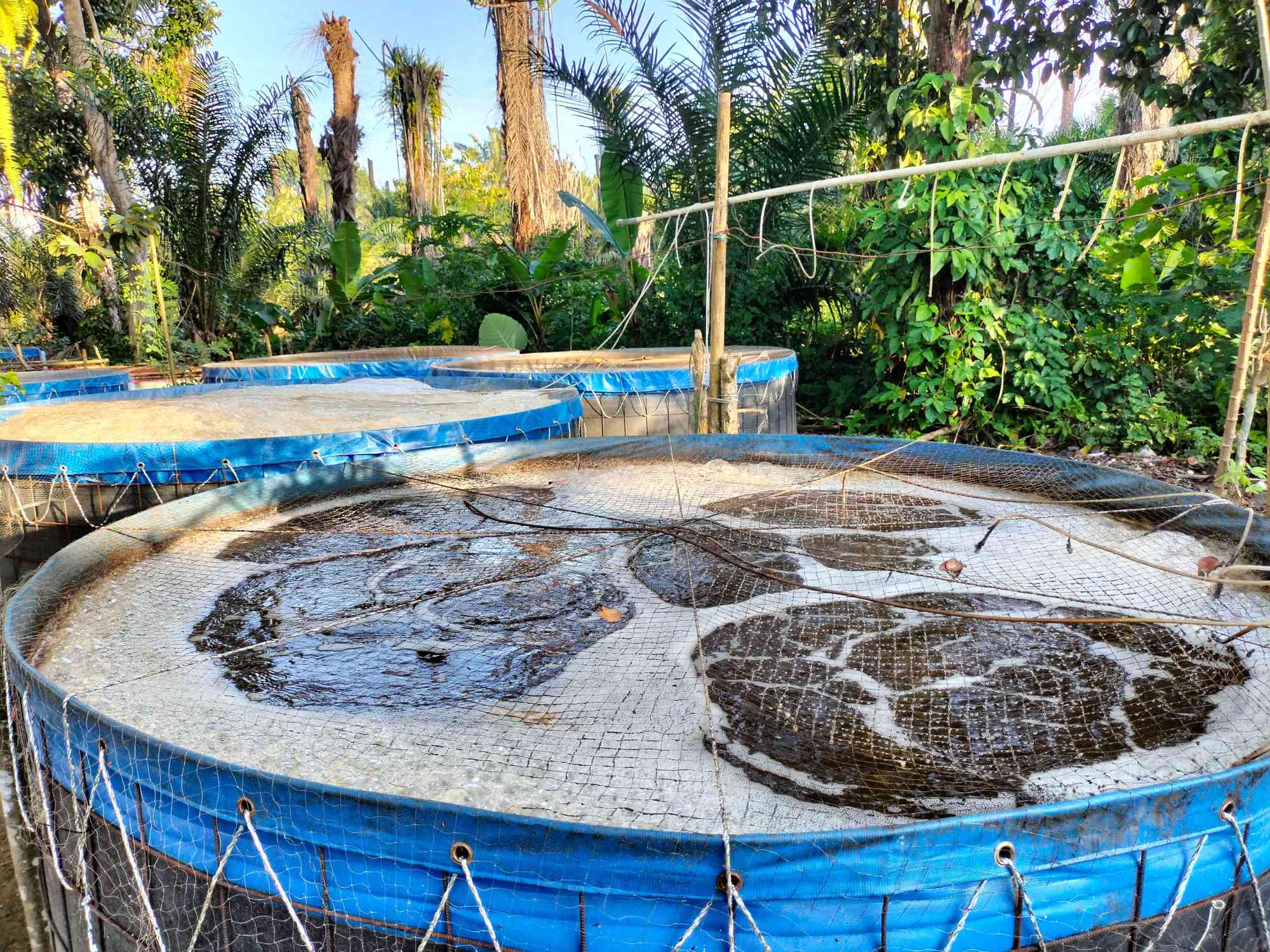 Kolam Ikan Sistem Bioflok