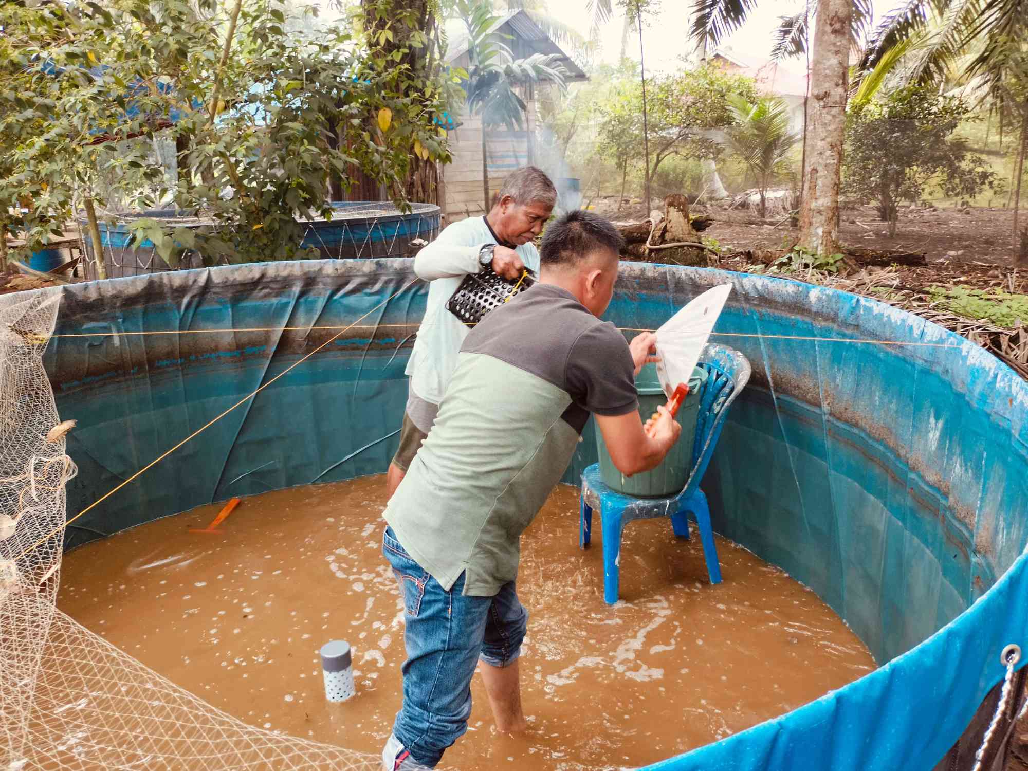 Kegiatan Pemindahan Bibit